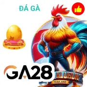 5mb Game 08